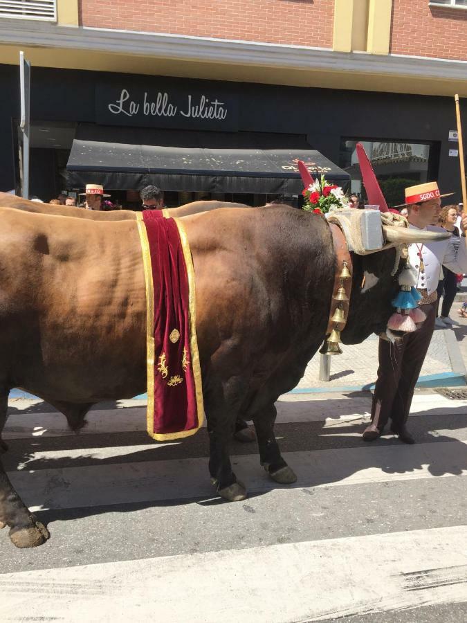 Vella Rosa 2 Lägenhet Torre Del Mar Exteriör bild